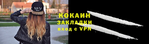 соль ск Мегион