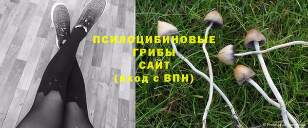 а пвп мука Алзамай