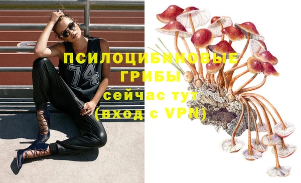 mdpv Медногорск