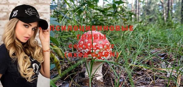 MESCALINE Медвежьегорск