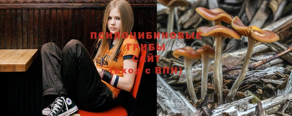 а пвп мука Алзамай
