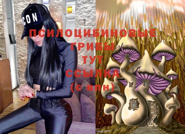 героин Алексин