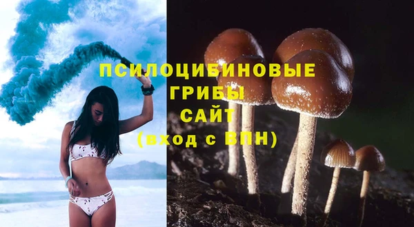 мяу мяу мука Алексеевка