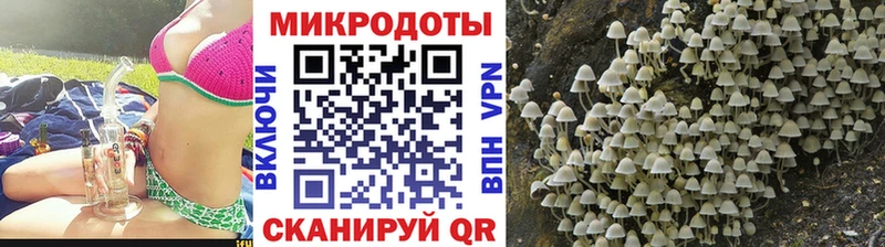 Псилоцибиновые грибы Cubensis  Хотьково 